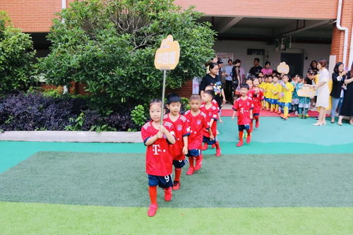 新时代文明实践 这个六月,过足 足瘾 义亭镇中心幼儿园足球赛开幕式