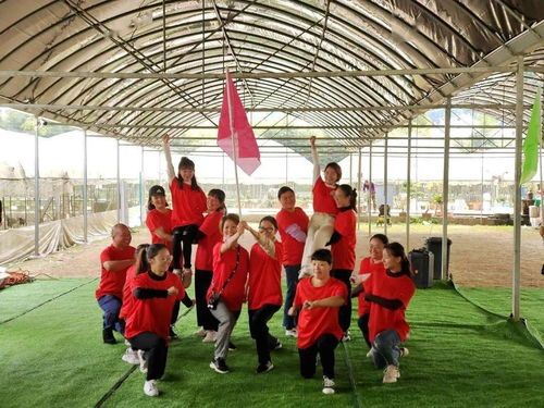 向上吧亭幼 义亭镇中心幼儿园团建活动