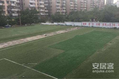 金鸡亭航空宿舍 锁定 优点 不足,金鸡亭航空宿舍 锁定 怎么样,金鸡亭航空宿舍 锁定 周边房产中介经纪人评价