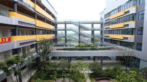 城北最大规模的学校9月迎新 名校集团领办,超多实景图