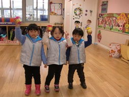 九亭镇亭南幼儿园与金鸡亭幼儿园简介