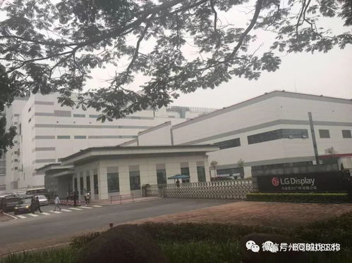 金鸡亭幼儿园招聘 涨工价及优厚福利，欢迎加入